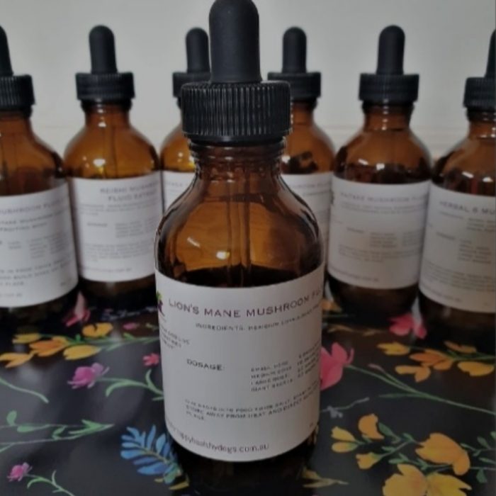 Lion's Mane 50ml - Canine Vitality