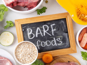 Natural feeding guide for pets following the BARF diet