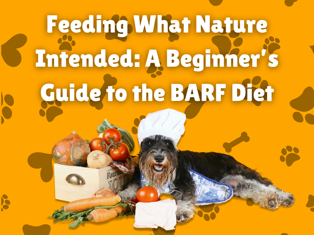 Step-by-step BARF diet preparation for first-time pet owners