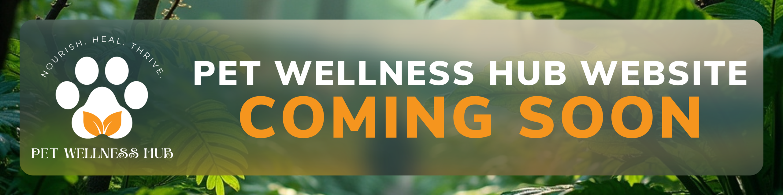 Pet Wellness Hub Coming Soon